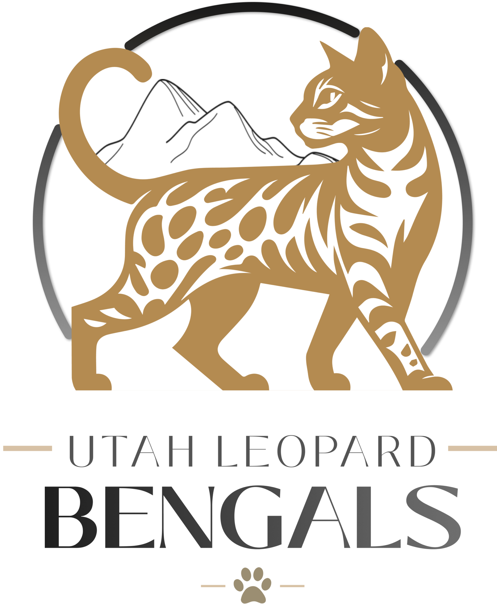 utah leopard bengals logo high resolution png